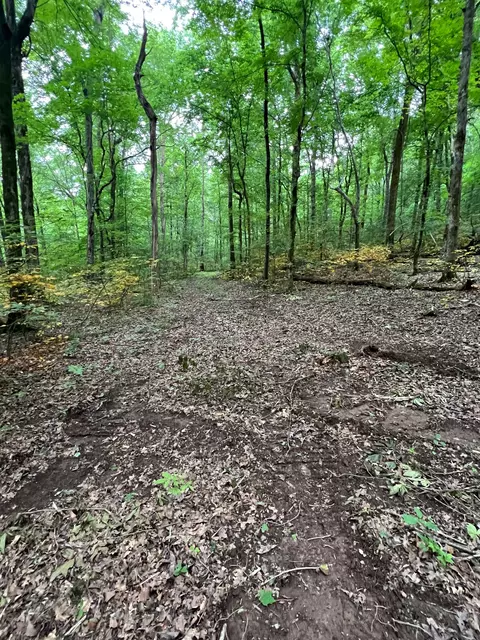 1360 Case Rd, Prospect, TN 38477 photo 10