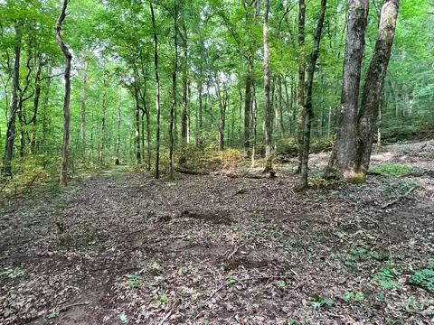 1360 Case Rd, Prospect, TN 38477 photo 29