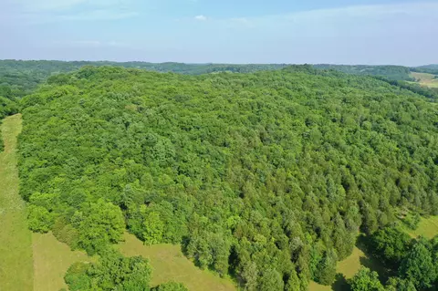 0 Dodson Gap Rd, Culleoka, TN 38451