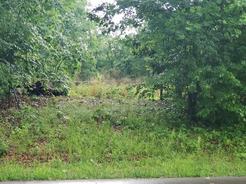 19 Shepard Dr, Flintville, TN 37335