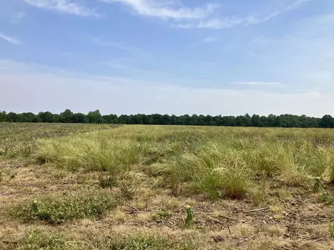 3178 Fountain Grove Rd, Morrison, TN 37357
