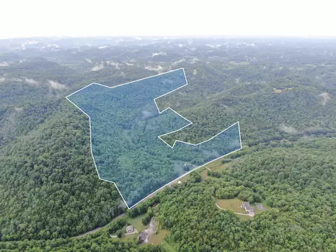 3437 Wolf Creek Rd, Silver Point, TN 38582