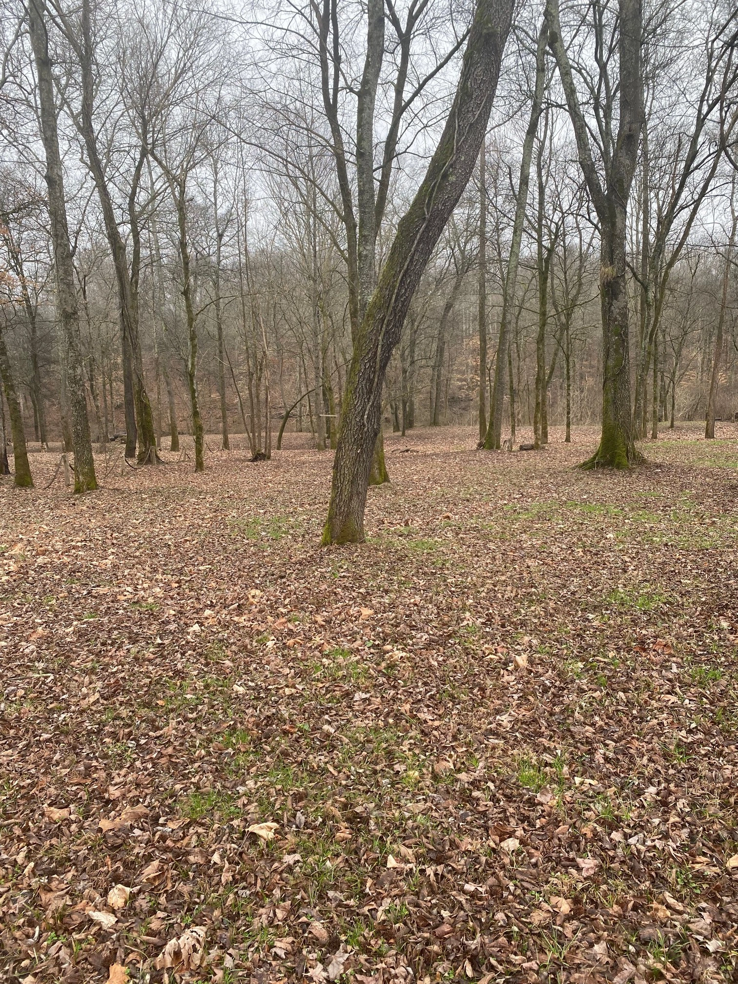 14 Lot Owners Way  