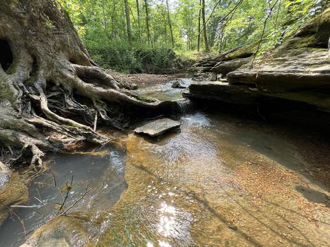 10119 Ed Lyell Rd, Lyles, TN 37098