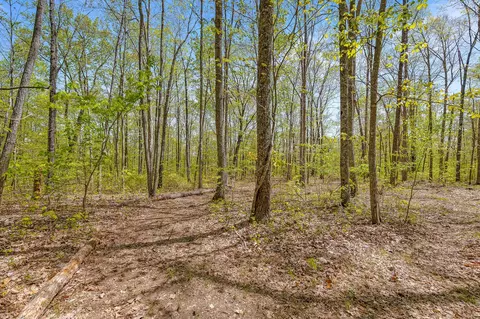 763 Davis Cemetery Rd, Dunlap, TN 37327 photo 51