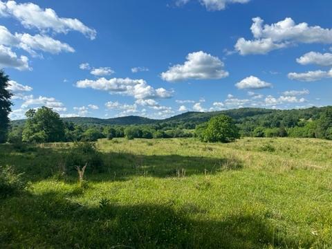 1 Elrod Mcelroy Rd, Milton, TN 37118