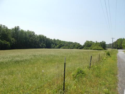 0 Big Cypress Rd, Cypress Inn, TN 38452