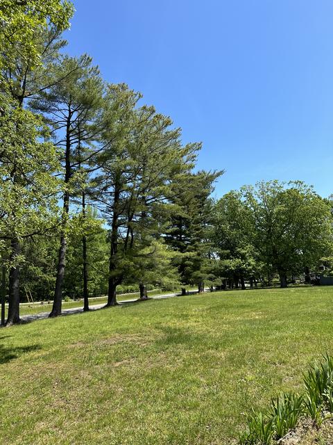 28 Overton N, Monteagle, TN 37356 photo 24