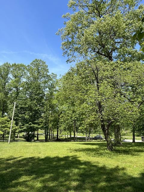 28 Overton N, Monteagle, TN 37356 photo 20