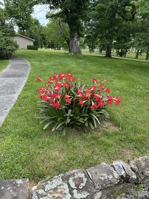 28 Overton N, Monteagle, TN 37356 photo 64