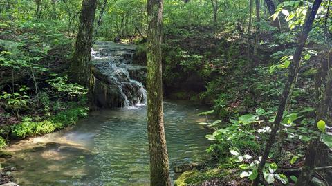 1524 Northcutts Cove Rd, Beersheba Springs, TN 37305