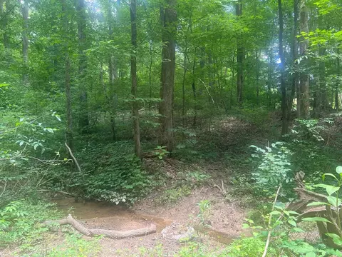 0 Cline Rd, Resaca, GA 30735 photo 3