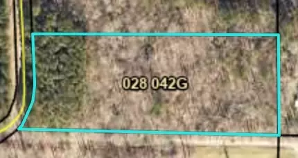 0 Cline Rd, Resaca, GA 30735 photo 6