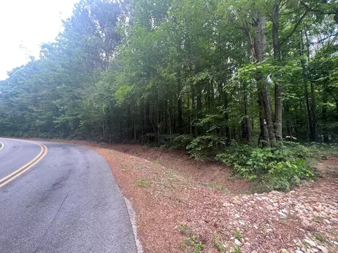 0 Cline Rd, Resaca, GA 30735 photo 4