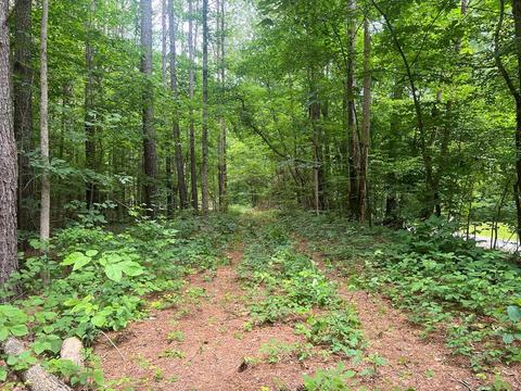 0 Cline Rd, Resaca, GA 30735