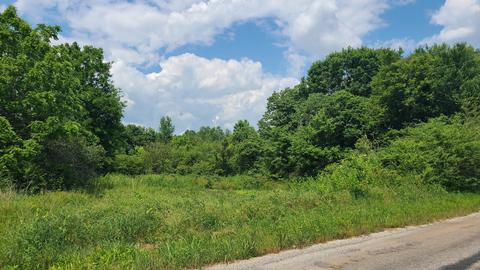 0 Fairview, Loretto, TN 38469
