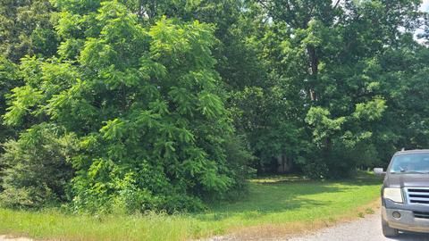 0 Fairview, Loretto, TN 38469 photo 5