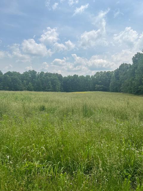 545 Austin Bottom Rd, Baxter, TN 38544 photo 3