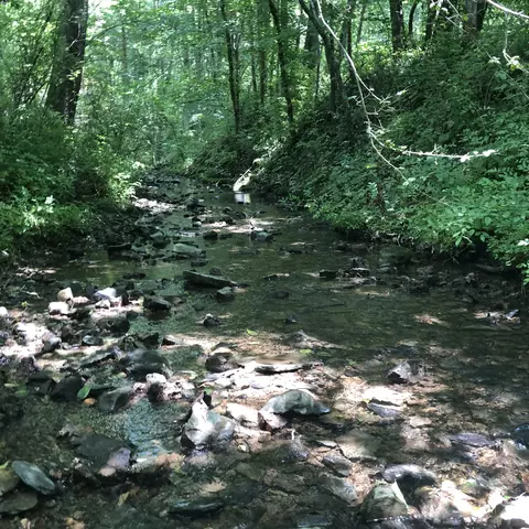 0 Cathey Ridge Rd, Manchester, TN 37355