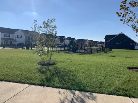 3225 Chatffield Dr, Murfreesboro, TN 37129 photo 49