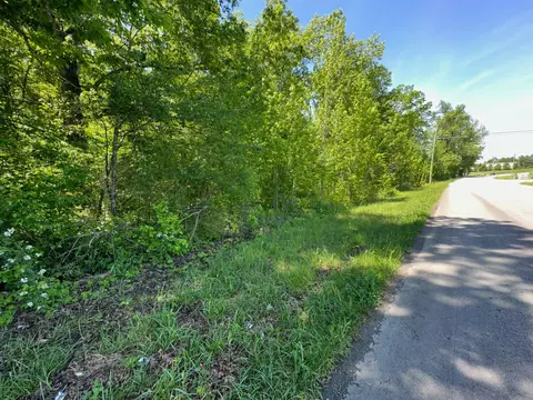 0 Ferrells Loop Rd, Beechgrove, TN 37018 photo 2