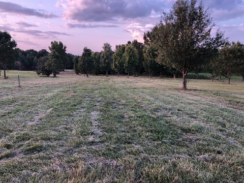 314 W Hester Rd, Cottontown, TN 37048