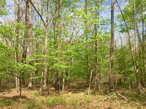 6 Laurel Lake Dr, Monteagle, TN 37356