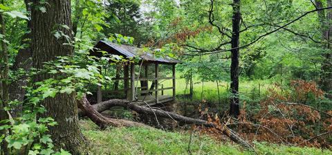 131 Stewart Branch Ln, Hurricane Mills, TN 37078