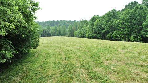 8 Purtle Rd, Lafayette, TN 37083