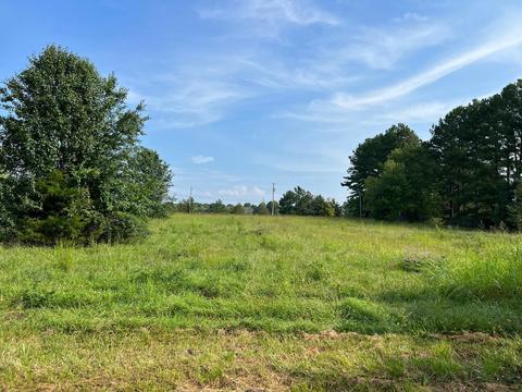 0 Main St W, Hohenwald, TN 38462