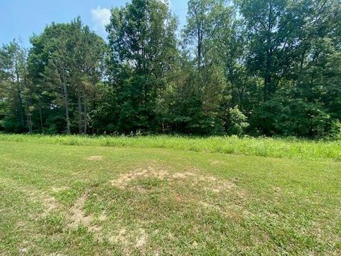 0 Little Sulphur Ck Rd, Big Sandy, TN 38221