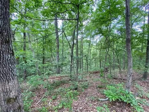 0 Eagle View Cv, Big Sandy, TN 38221 photo 7