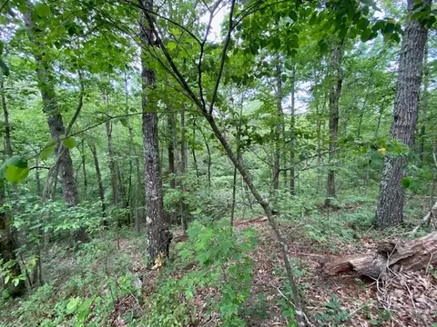 0 Eagle View Cv, Big Sandy, TN 38221 photo 3