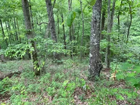 0 Eagle View Cv, Big Sandy, TN 38221 photo 4