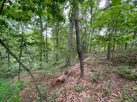 0 Eagle View Cv, Big Sandy, TN 38221 photo 5