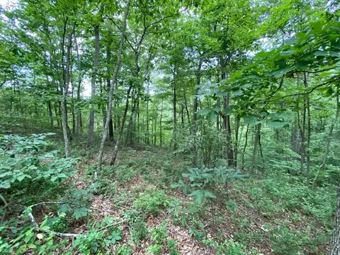 0 Eagle View Cv, Big Sandy, TN 38221 photo 8