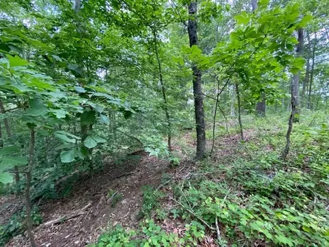 0 Eagle View Cv, Big Sandy, TN 38221 photo 10