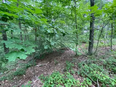 0 Eagle View Cv, Big Sandy, TN 38221 photo 9
