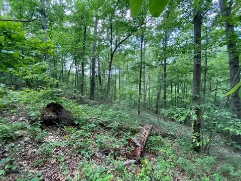 0 Eagle View Cv, Big Sandy, TN 38221 photo 2