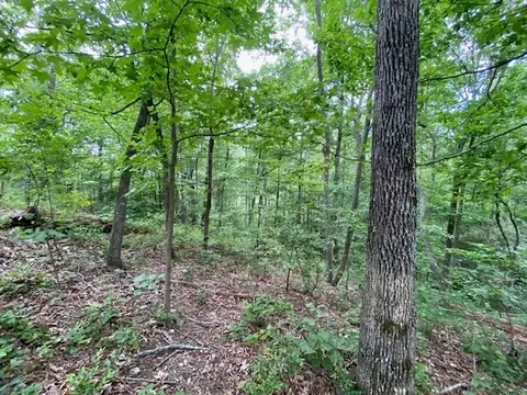 0 Eagle View Cv, Big Sandy, TN 38221 photo 6