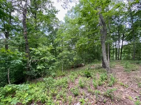 0 Eagle View Cv, Big Sandy, TN 38221 photo 11