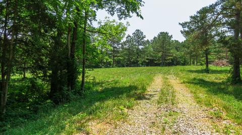 7477 Liberty Rd, Fairview, TN 37062