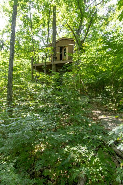 2869 Thompson Rd, Murfreesboro, TN 37128 photo 66