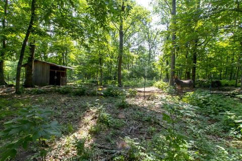 2869 Thompson Rd, Murfreesboro, TN 37128 photo 65