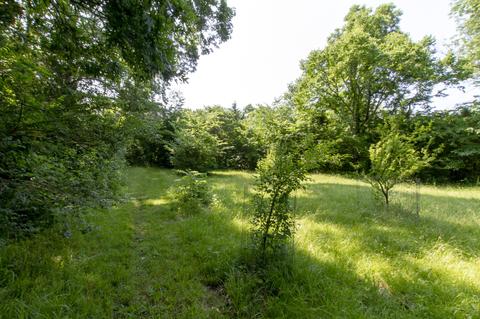 2869 Thompson Rd, Murfreesboro, TN 37128 photo 68