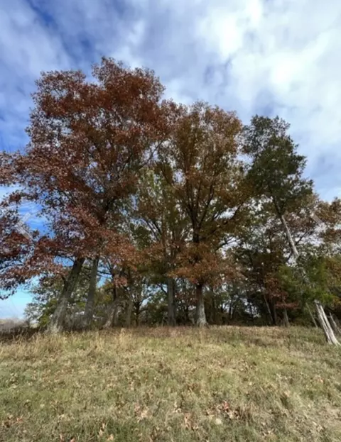 0 Corum Hl, Castalian Springs, TN 37031
