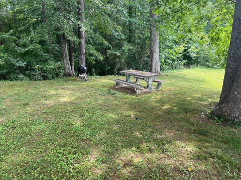 6 Allison Dr, Loretto, TN 38469 photo 33