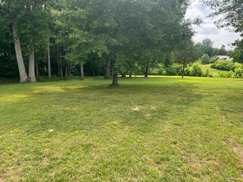 6 Allison Dr, Loretto, TN 38469 photo 31