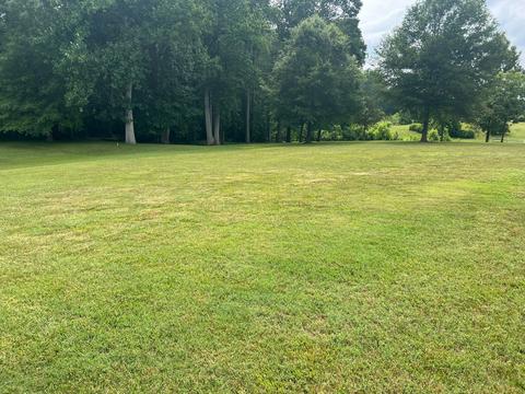 6 Allison Dr, Loretto, TN 38469 photo 30