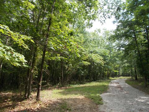 0 Little Hurricane Creek Rd, Mcewen, TN 37101